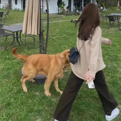 晚安,好运
